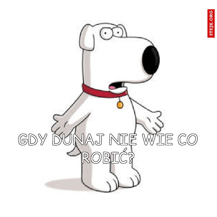 Gdy Dunaj nie wie co robić?