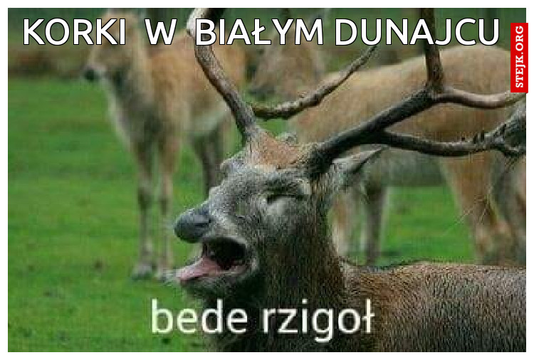 korki  w  białym dunajcu