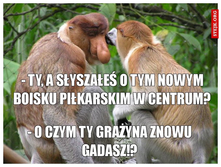 - ty, a słyszałeś o tym nowym boisku piłkarskim w centrum?