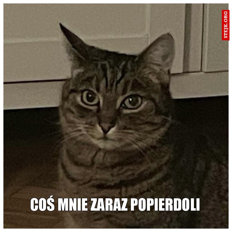 coś mnie zaraz popierdoli