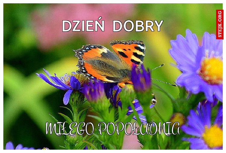 Dzień  dobry