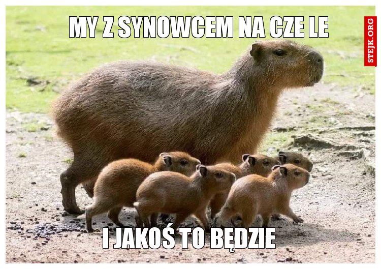 My z synowcem na cze le