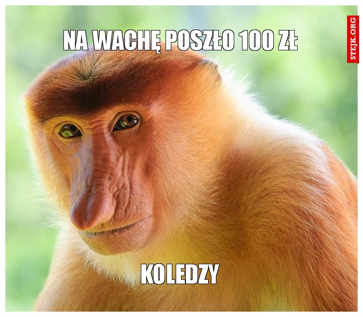 NA wachę poszło 100 zł