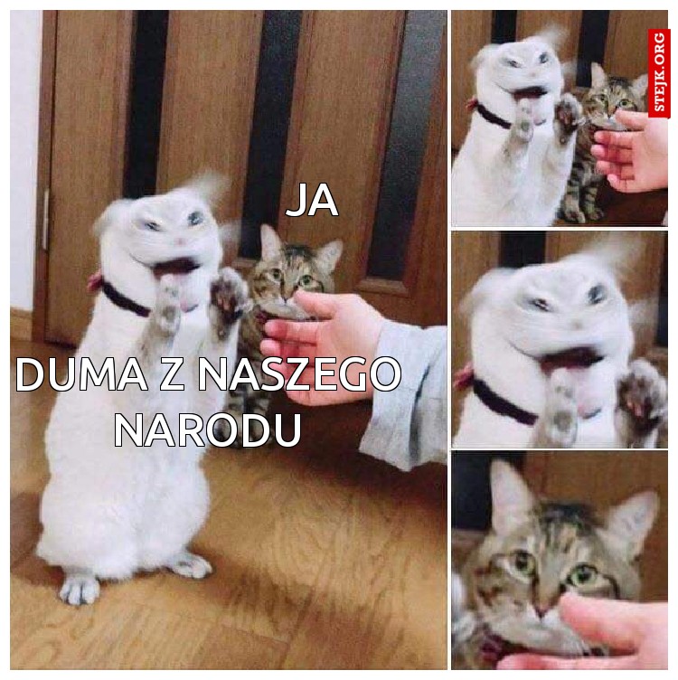 Duma z naszego narodu