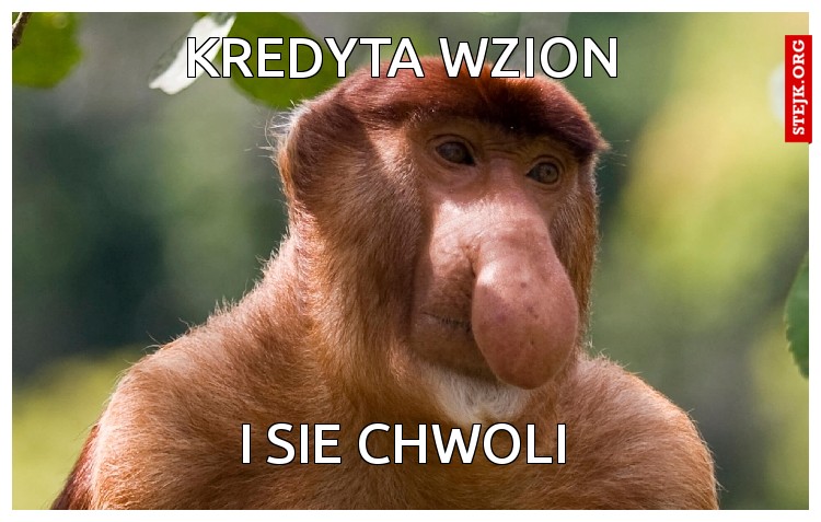 kredyta wzion 