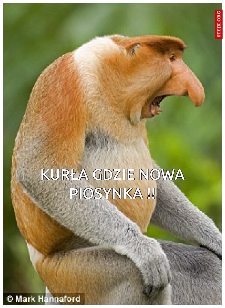 kurła gdzie nowa piosynka !!