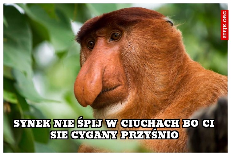 synek nie spij w ciuchach bo ci sie cygay przyśnio