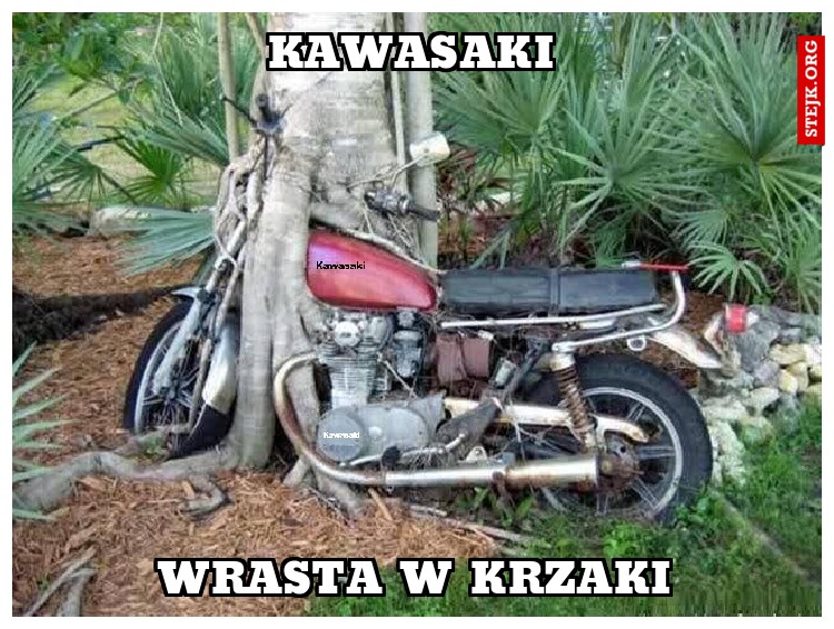 Kawasaki