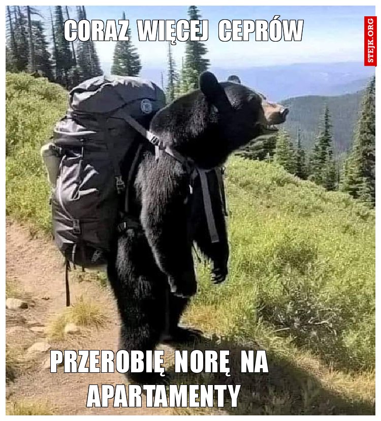 coraz  więcej  ceprów 