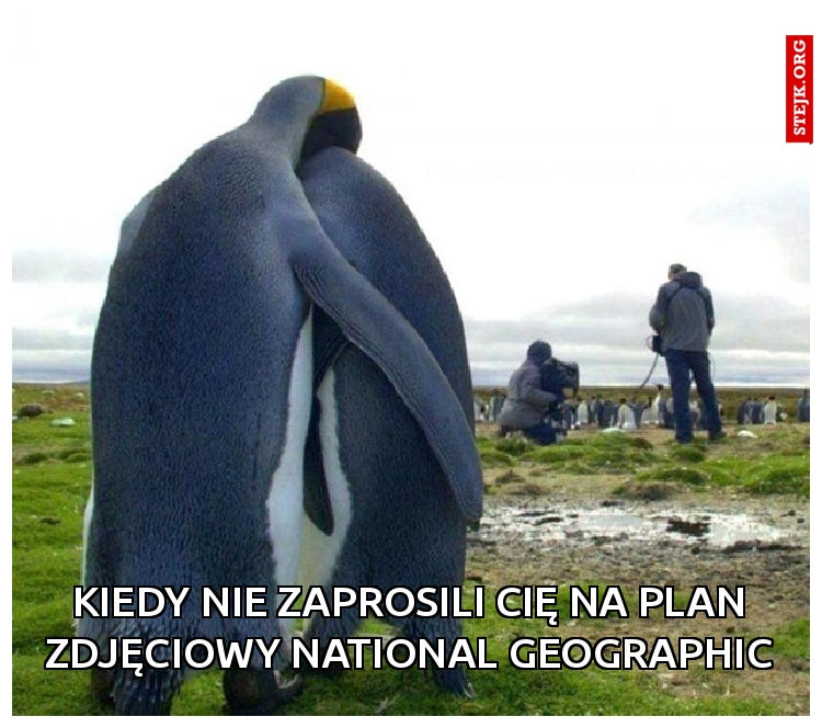 Kiedy nie zaprosili Cię na plan zdjęciowy National Geographic