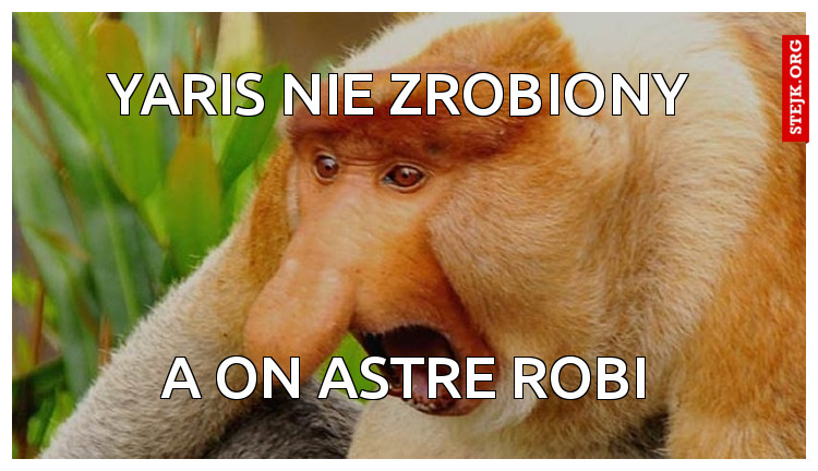 Yaris nie zrobiony 