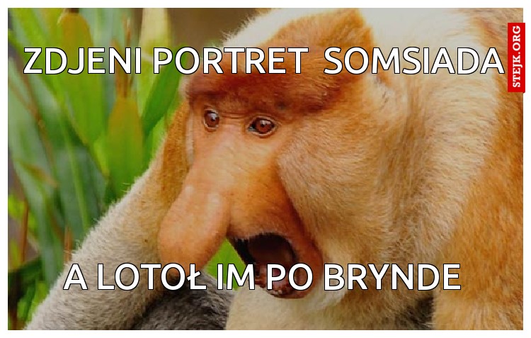 Zdjeni portret  somsiada