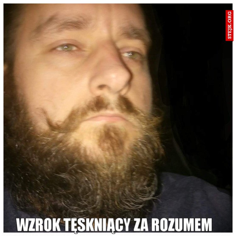 Wzrok tęskniący za rozumem 