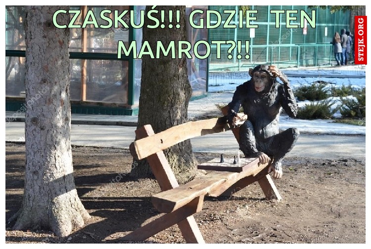 czaskuś!!! gdzie  ten mamrot?!!