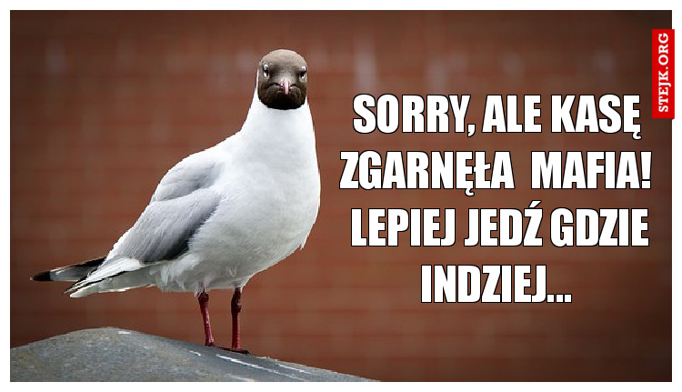 sorry, ALe kasę zgarnęła  Mafia!  Lepiej jedź gdzie indziej...