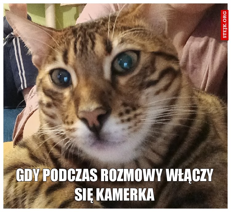 GDy Podczas rozmowy włączy się kamerka