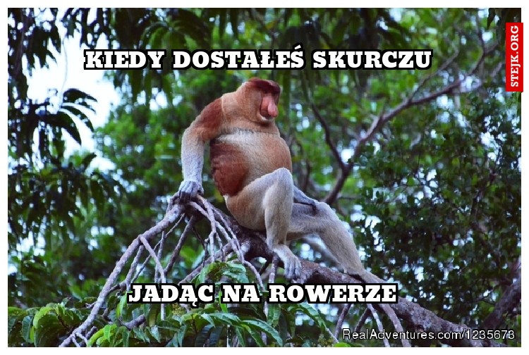 KIEDY DOSTAŁEŚ SKURCZU 