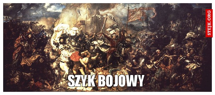 Szyk bojowy