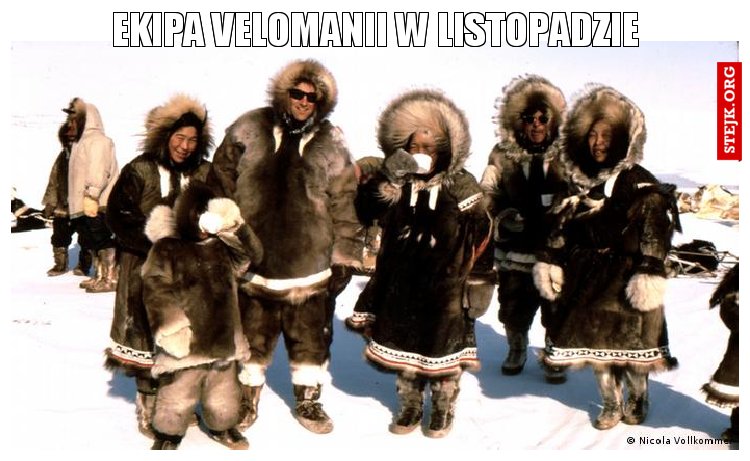 EKIPA VELOMANII W LISTOPADZIE
