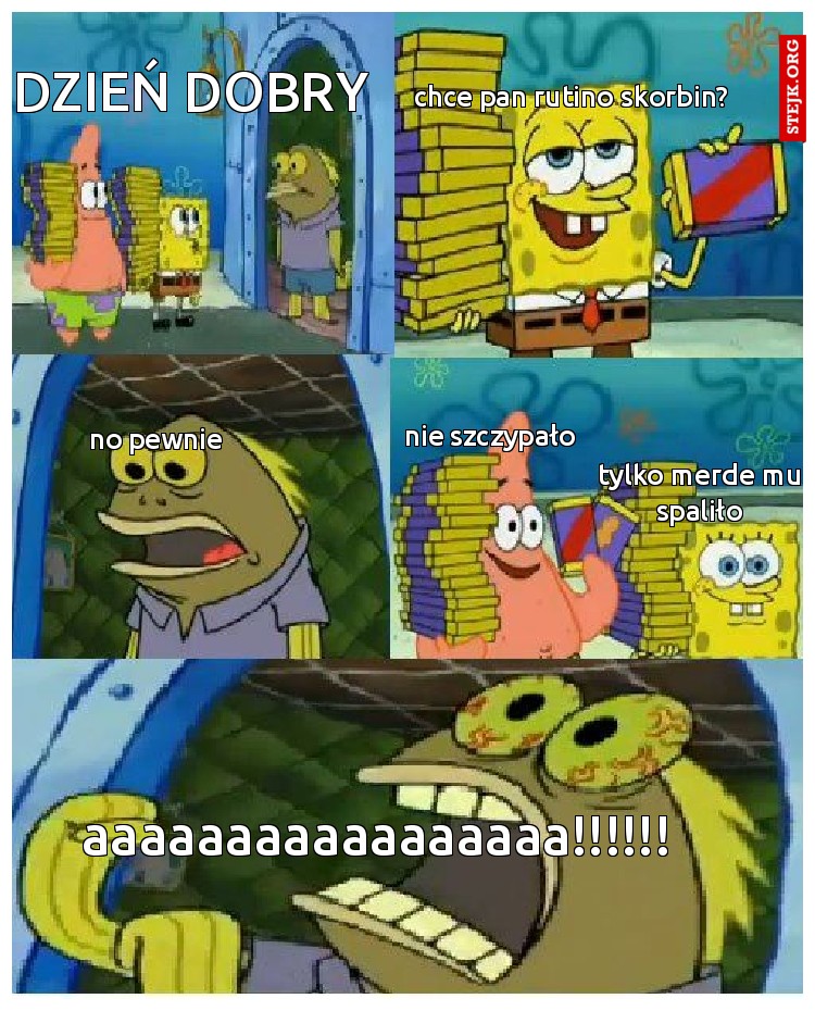 dzień dobry