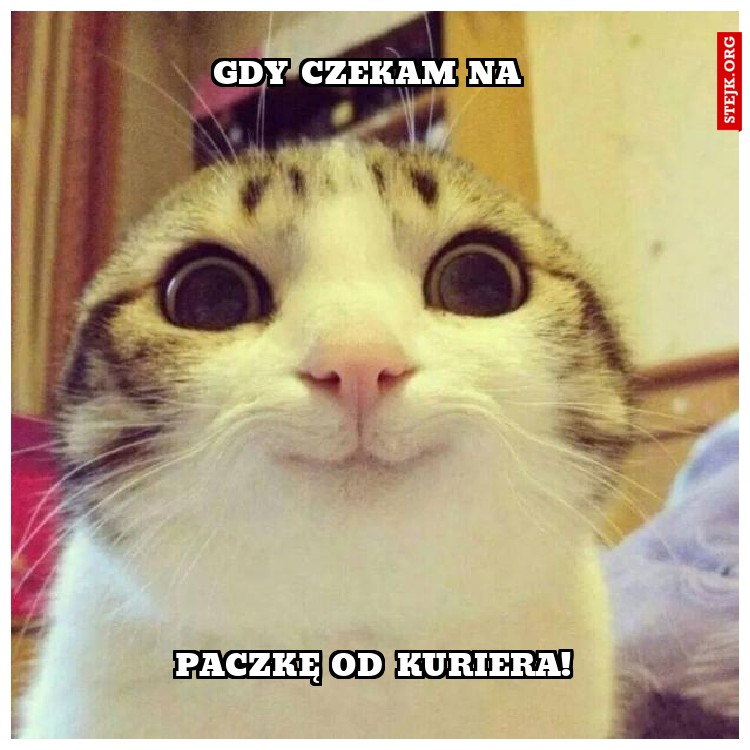 gdy mąż zapyta skąd 