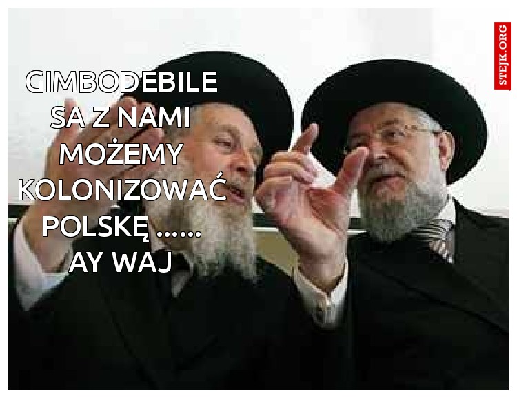 gimbodebile sa z nami możemy kolonizować Polskę ...... ay waj