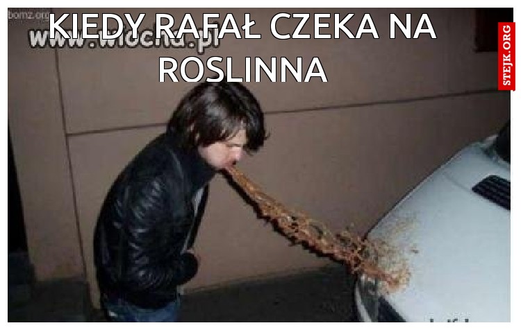 Kiedy rafał czeka na roslinną