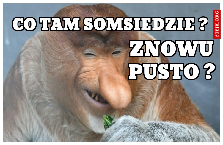 CO TAM SOMSIEDZIE ?