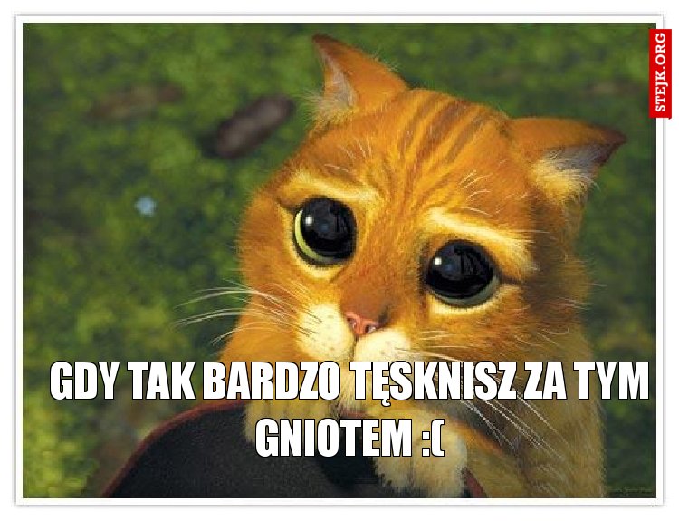 Gdy tak bardzo tęsknisz za tym Gniotem :(