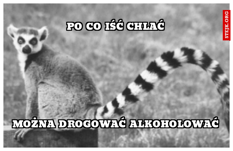 Po co iść chlać