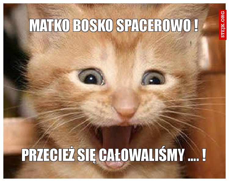 Matko bosko spacerowo !