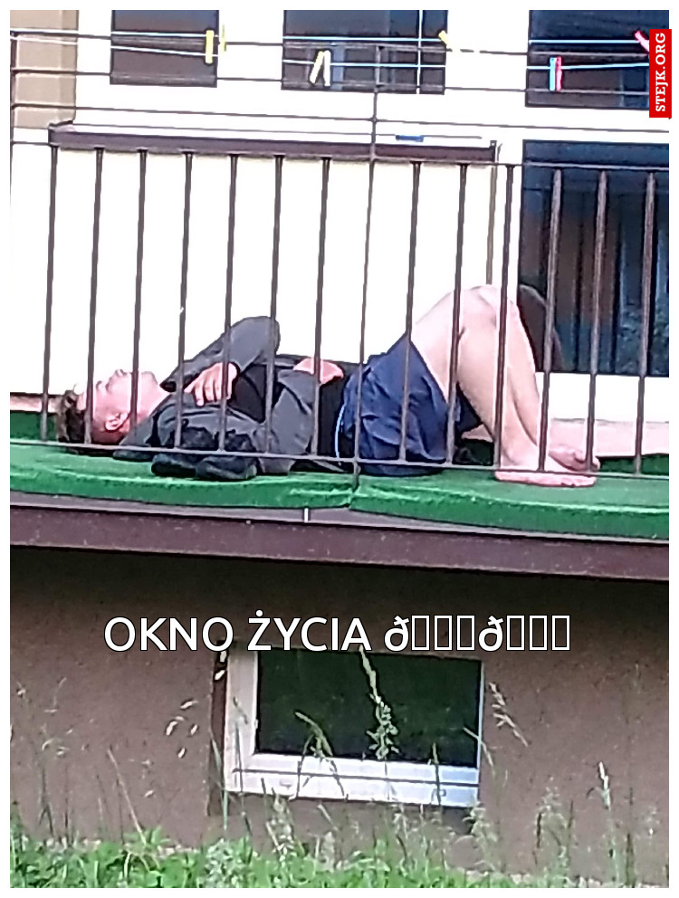 Okno życia 