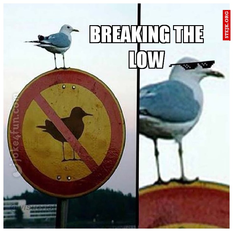 BREAKING THE LOW