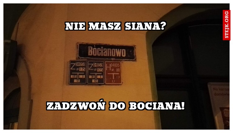 nie masz siana?