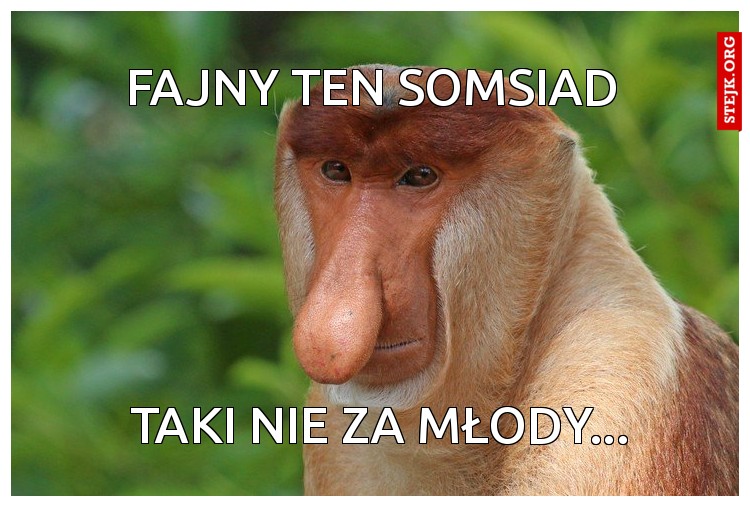 Fajny ten somsiad