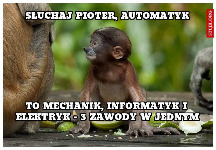 Pioter, automatyk