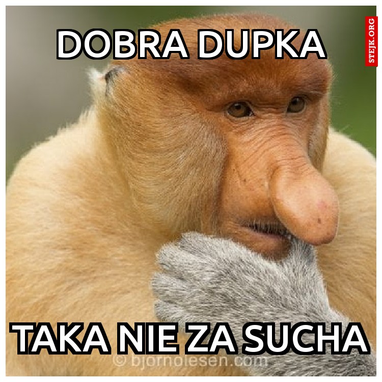 DOBRA DUPKA