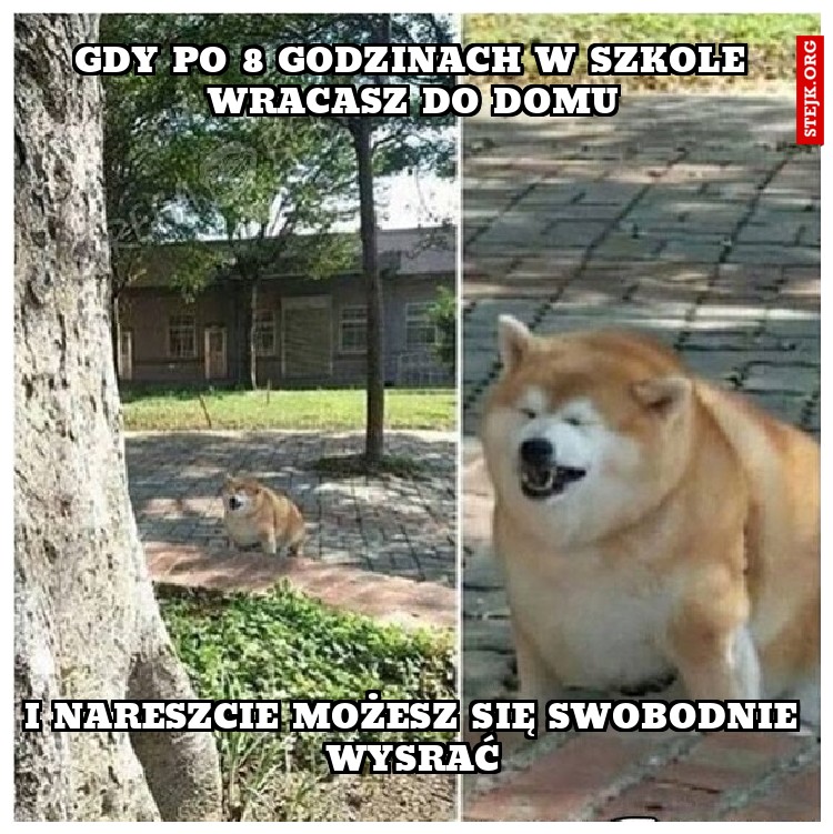 Gdy po 8 godzinach w szkole wracasz do domu