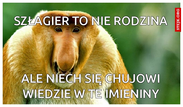 Szłagier to nie rodzina