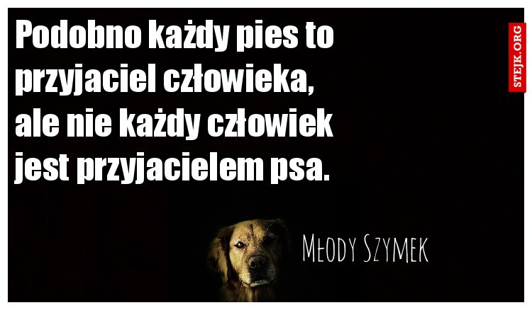 Podobno każdy pies to przyjaciel człowieka, ale nie każdy człowiek jest przyjacielem psa.