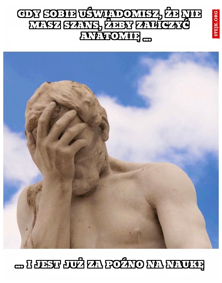 Gdy sobie uświadomisz, że nie masz szans, żeby zaliczyć anatomię