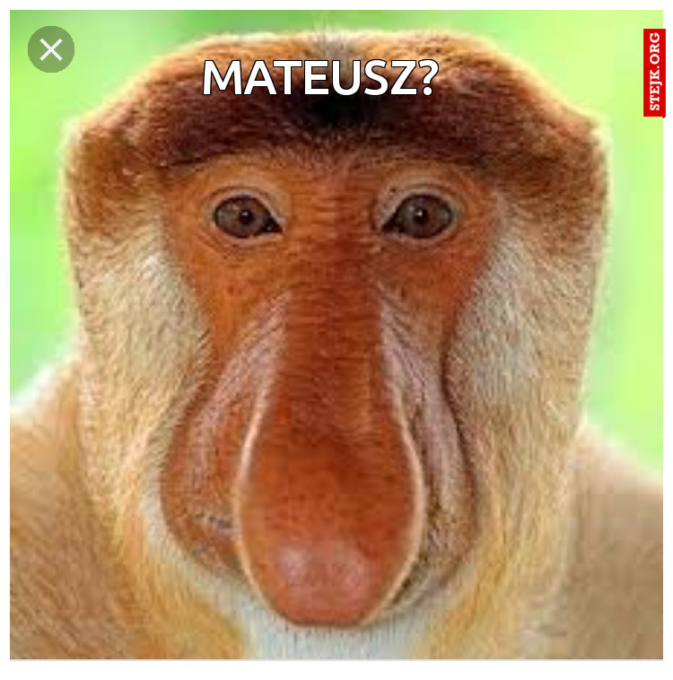 Mateusz?