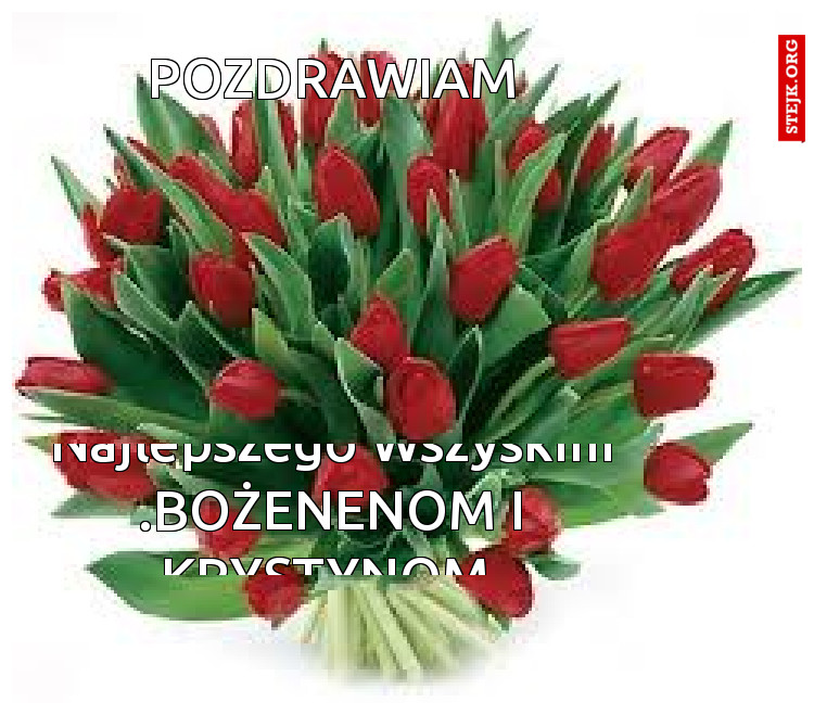 Pozdrawiam