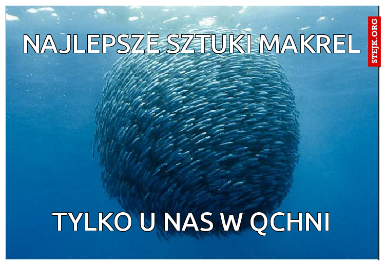 najlepsze sztuki makrel