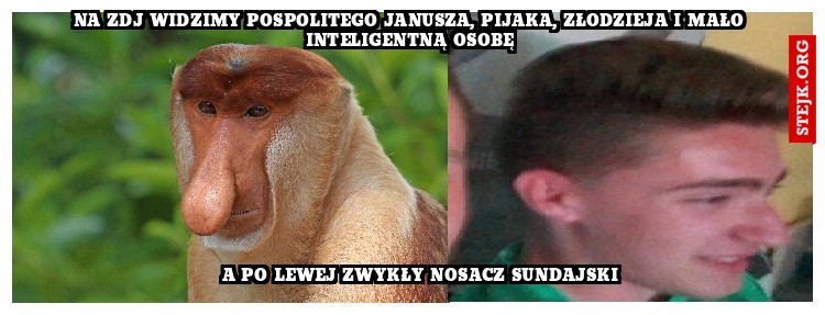 na zdj widzimy pospolitego Janusza, pijaka, złodzieja i mało inteligentną osobę