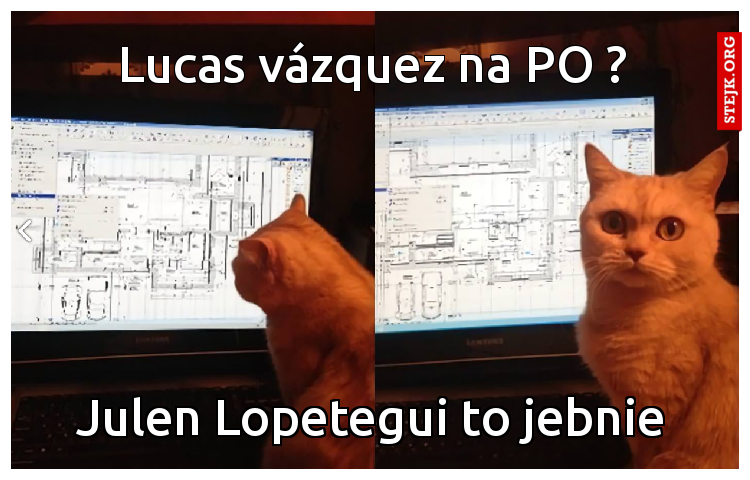 MEM