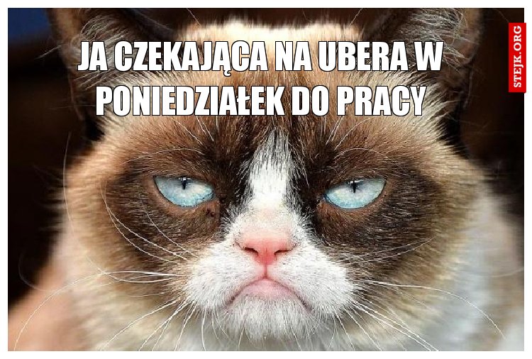 ja czekająca na ubera w poniedziałek do pracy
