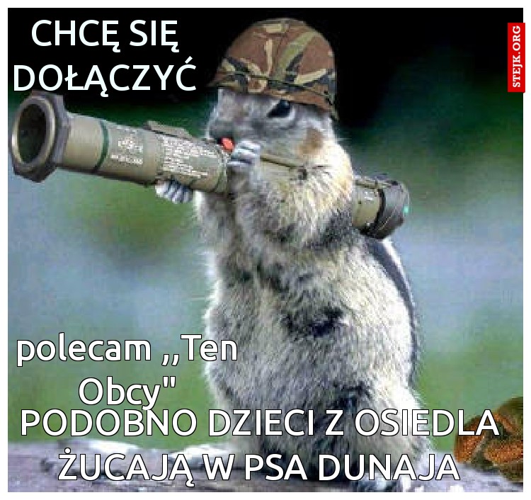 PODOBNO DZIECI Z OSIEDLA ŻUCAJĄ W PSA
