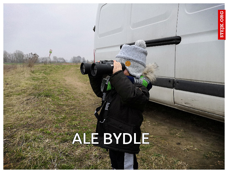 ALE BYDLE 