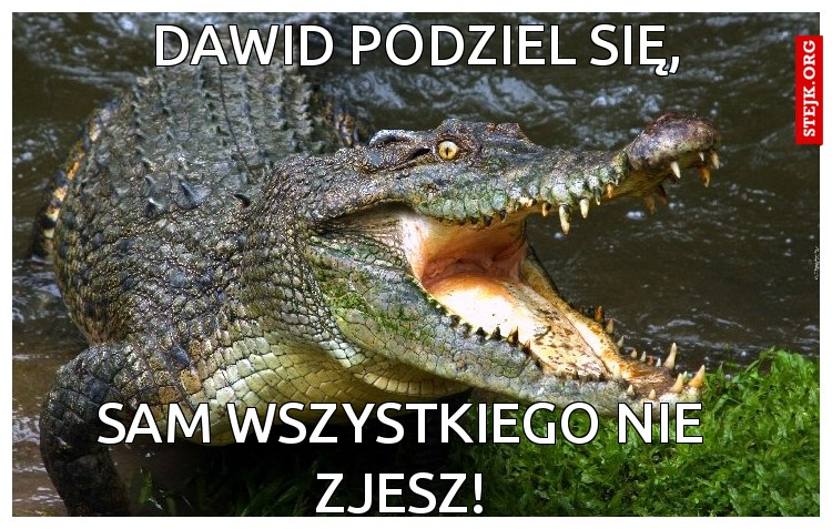 Dawid podziel się,
